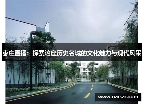枣庄直播：探索这座历史名城的文化魅力与现代风采