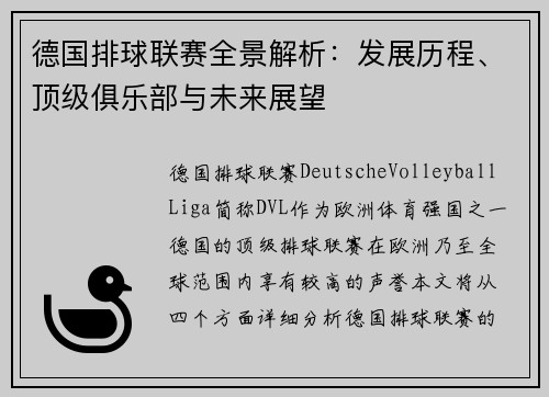 德国排球联赛全景解析：发展历程、顶级俱乐部与未来展望