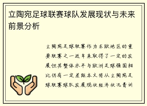 立陶宛足球联赛球队发展现状与未来前景分析