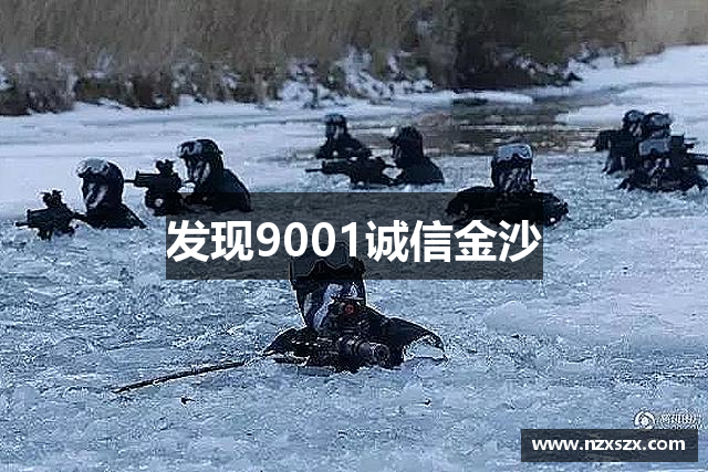 发现9001诚信金沙